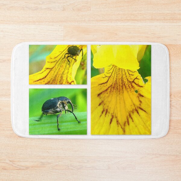 Item preview, Curculio glandium on yellow water lily  designed and sold by angel1.