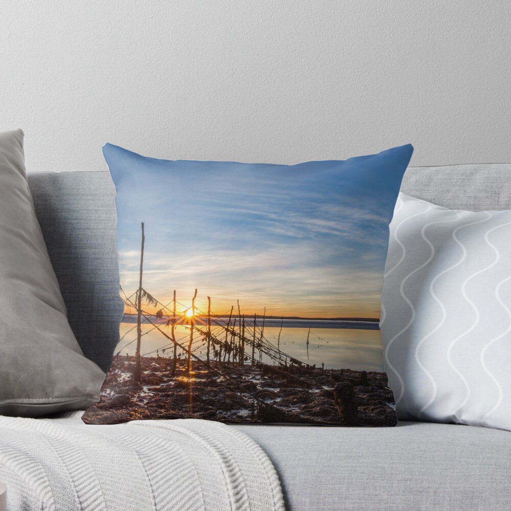 Item preview, Throw Pillow designed and sold by davecurrie.