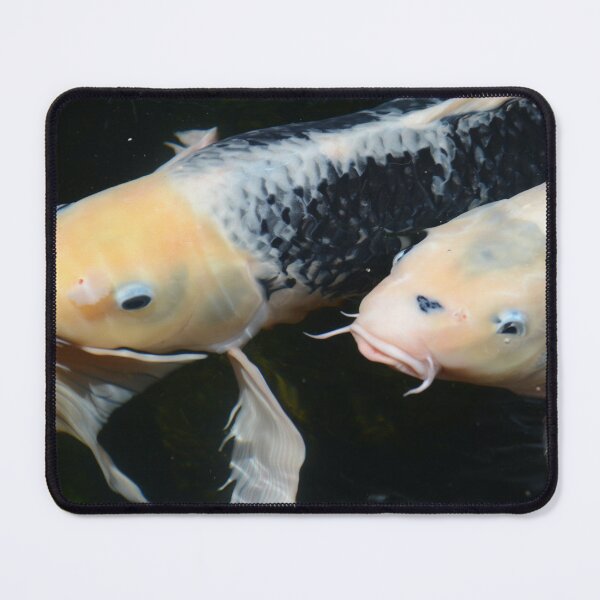 Item preview, Giant white Koi Fish Face - Chinese Painting designed and sold by joejiing.