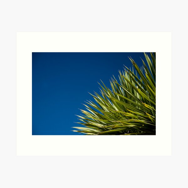 Pierce the sky Art Print