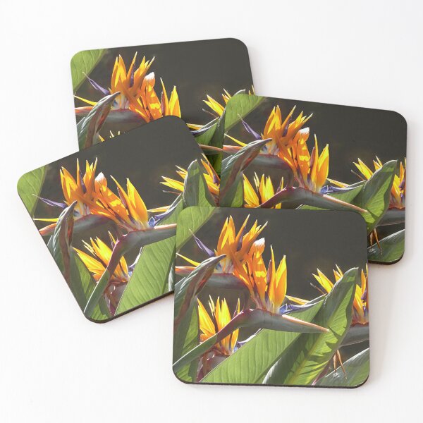 Item preview, Here be Dragons. designed and sold by Paul Pasco.