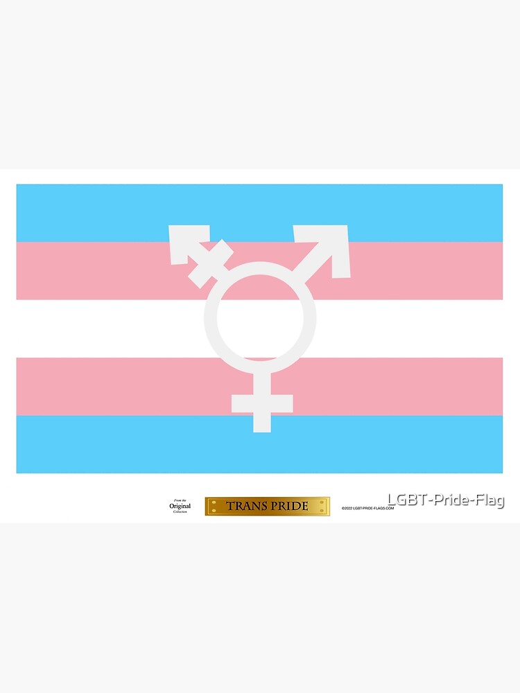 Thumbnail 3 of 3, Journal, Trans-Pride LGBT Pride Flag designed and sold by LGBT-Pride-Flag.