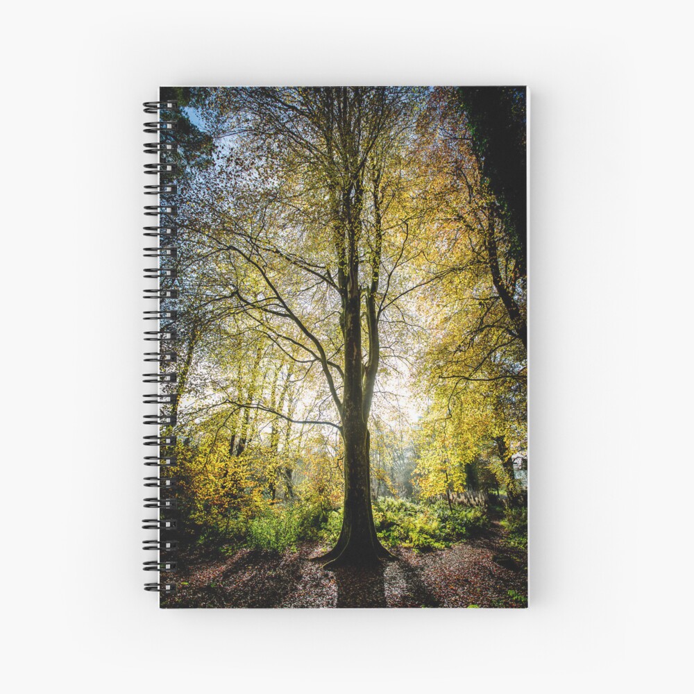 Item preview, Spiral Notebook designed and sold by davecurrie.