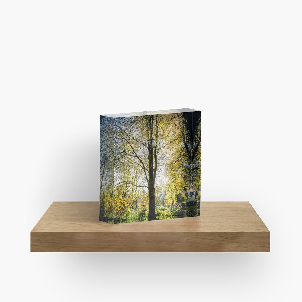 Item preview, Acrylic Block designed and sold by davecurrie.