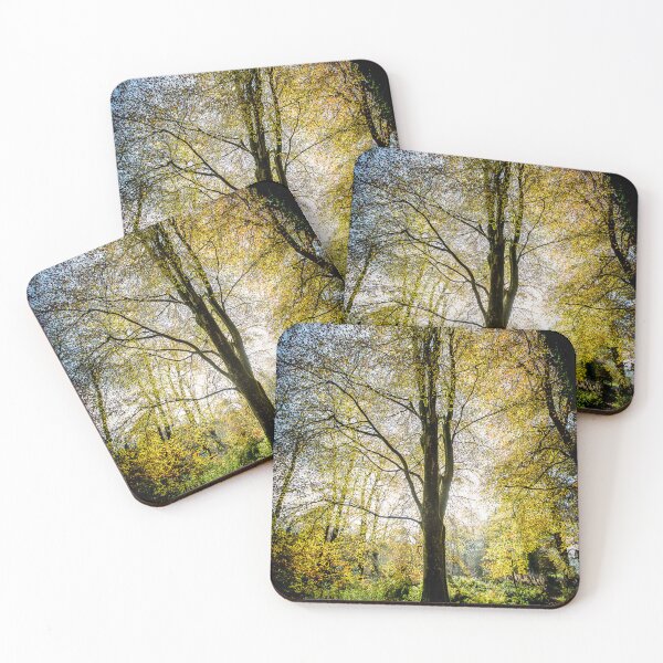 Item preview, Solitree designed and sold by Dave Currie.