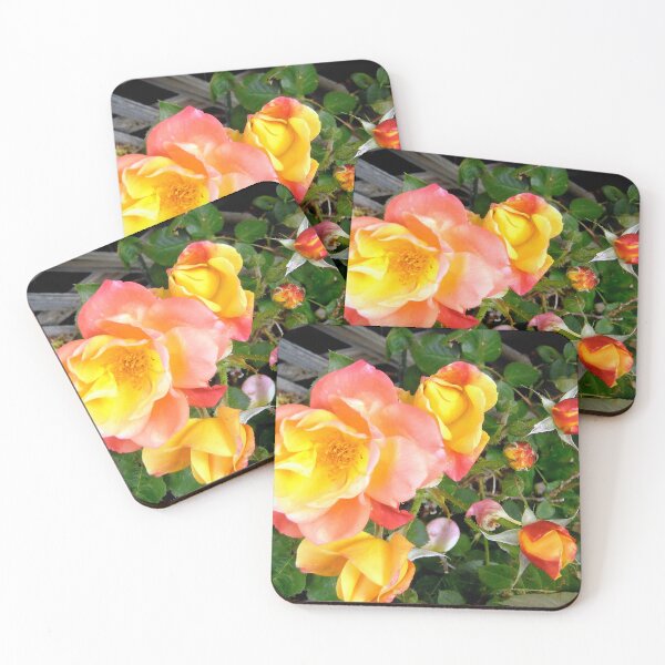 Item preview, Orange Roses designed and sold by Shulie1.