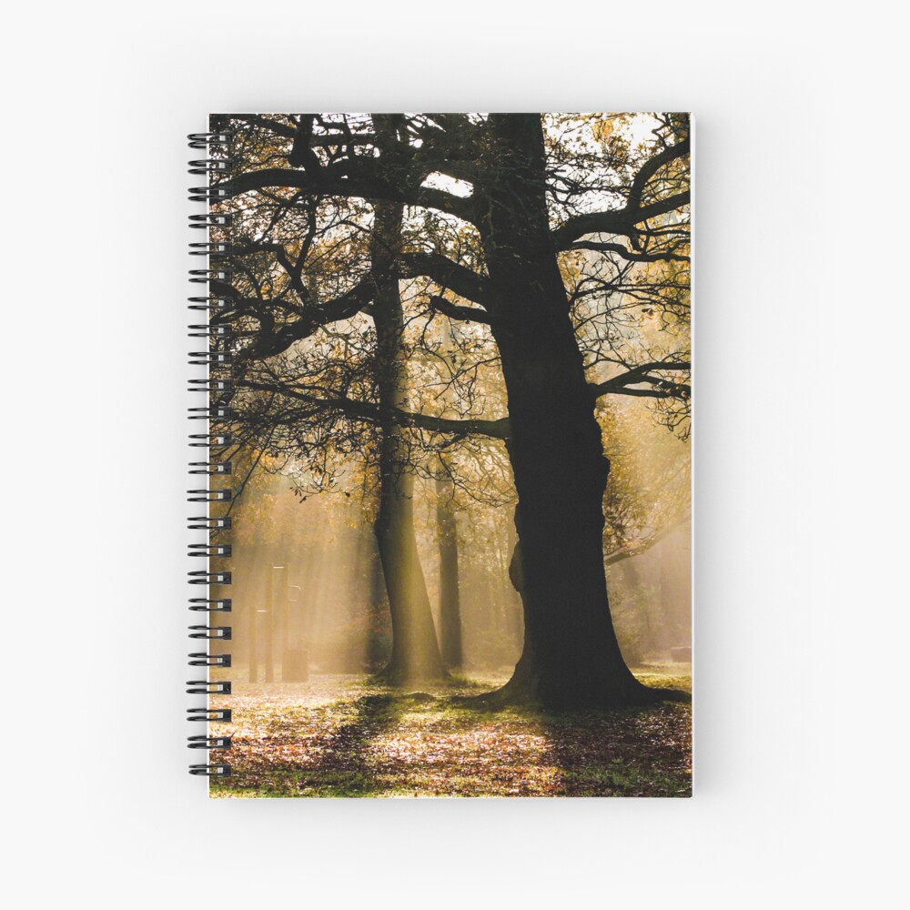 Item preview, Spiral Notebook designed and sold by davecurrie.
