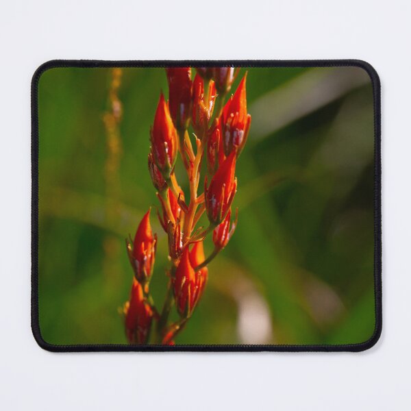 Item preview, Orangey-Red Against Green designed and sold by Brian Shaw.