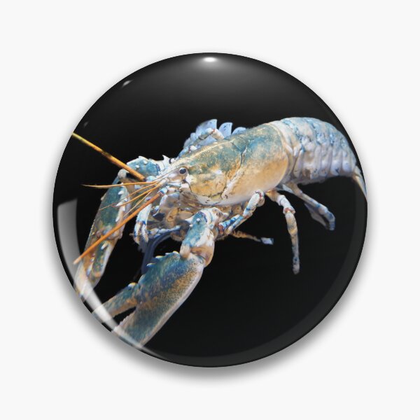 Item preview, Rainbow Lobster designed and sold by Marine Wonders.