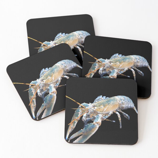 Item preview, Rainbow Lobster designed and sold by Marine Wonders.
