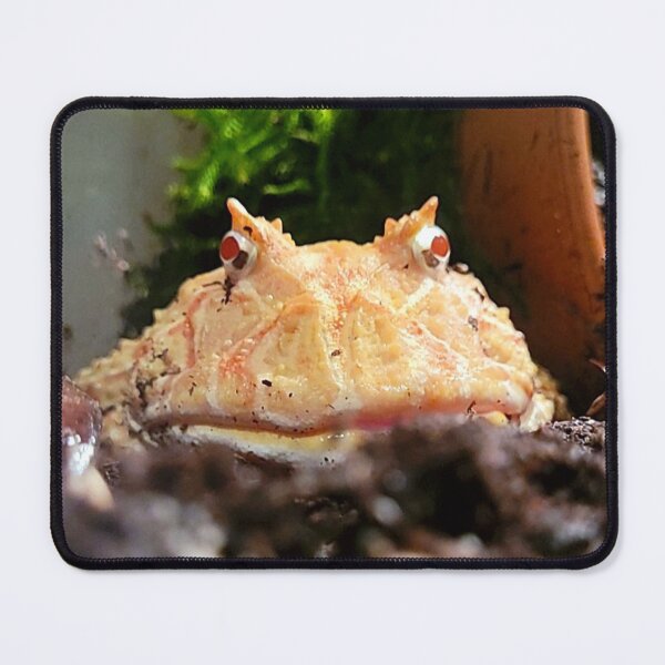 Item preview, Angy Frawg designed and sold by Casual-Funeral.