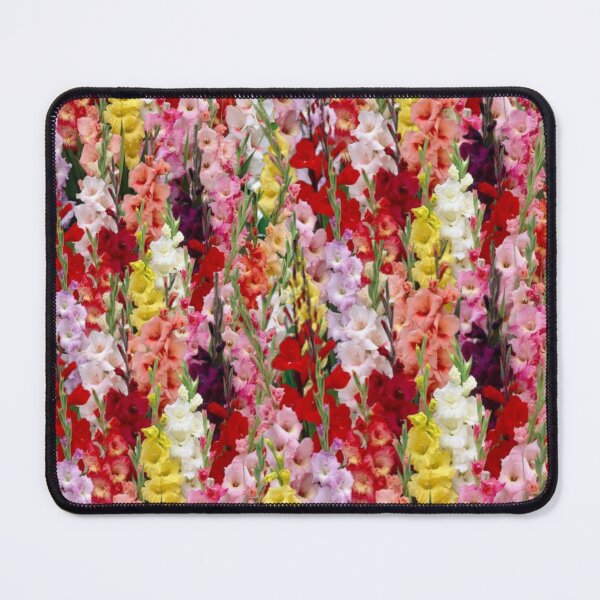 Item preview, Multicolored gladiolus flowers designed and sold by danaJG.