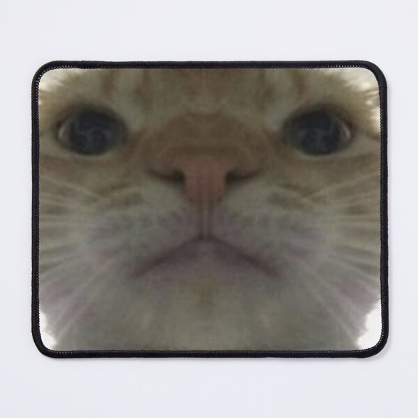 Item preview, Silly Cat :3 designed and sold by DaveDango.