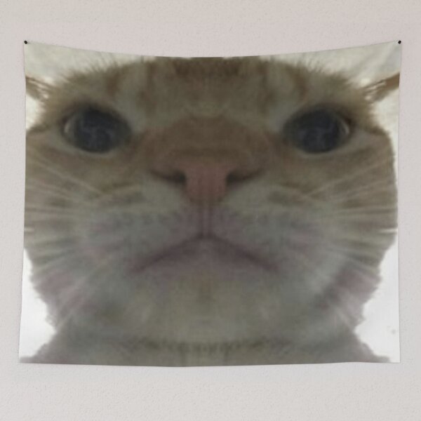 Item preview, Silly Cat :3 designed and sold by DaveDango.
