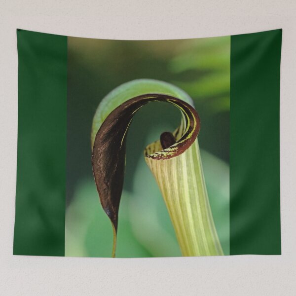 Item preview, Jack In The Pulpit designed and sold by Deb Oppermann.