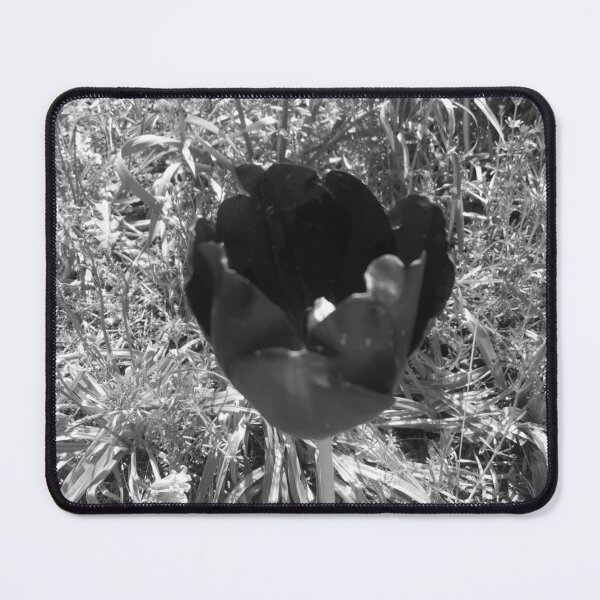 Item preview, Black and white tulip designed and sold by DuffysCreations.