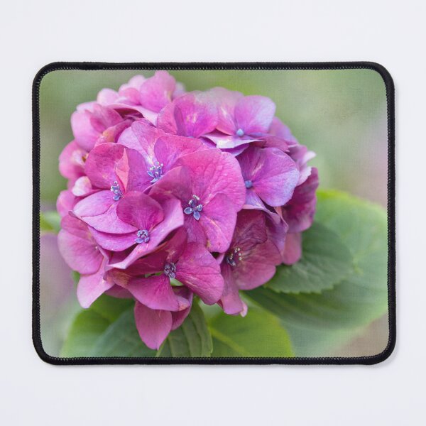 Item preview, Pinkish Purple Hydrangea designed and sold by Susan Watson.