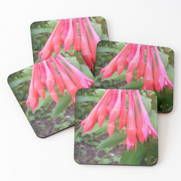 Item preview, Fuchsia Koralle designed and sold by lezvee.