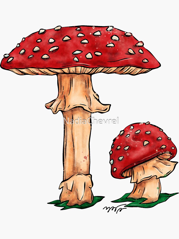 Amanita muscaria mushrooms watercolor, bright fly agaric | Sticker