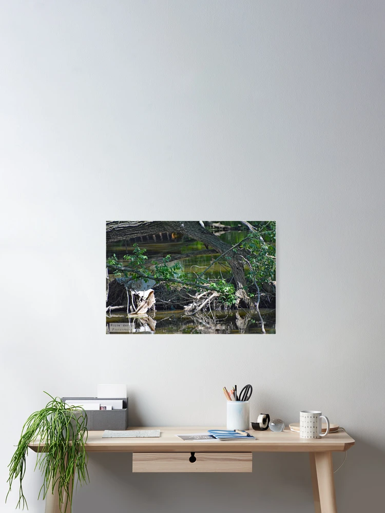 Thumbnail 2 von 3, Poster, Wasser designt und verkauft von RabbitHole13.