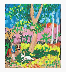 Dog Day in the Park Photographic Print
