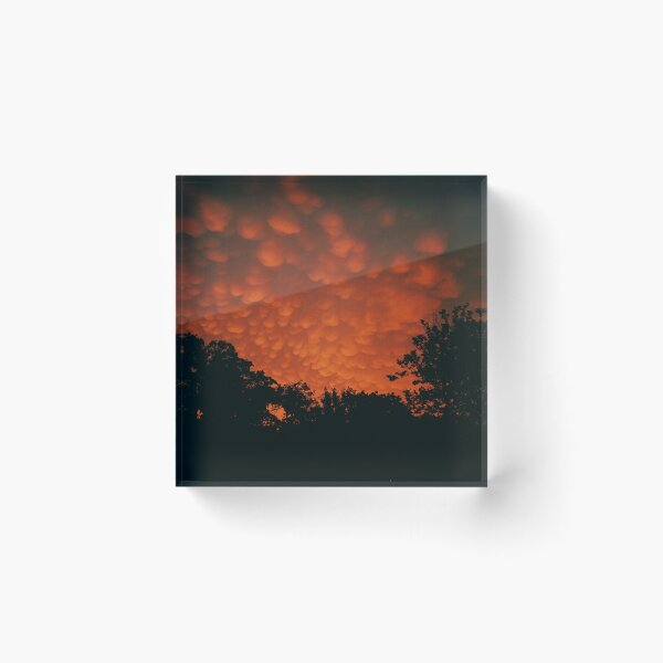 Item preview, Beauty Before the Storm - Portra 400 120 designed and sold by ColeDeLaPaz.