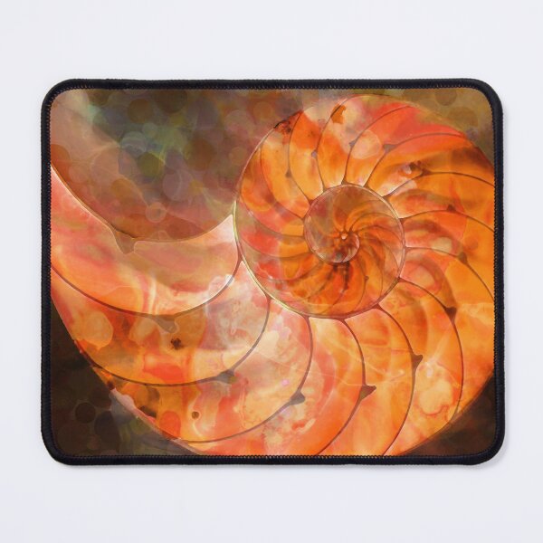 Item preview, Orange Nautilus Shell Seashell Beach Art designed and sold by Sharon Cummings Art.