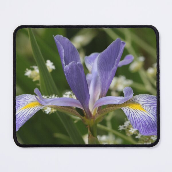 Item preview, Irresistible designed and sold by Anita Oakley.