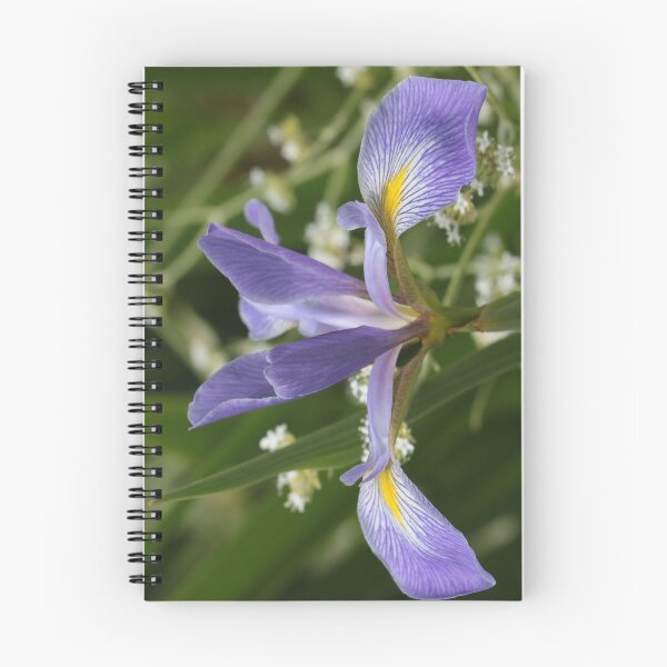 Item preview, Irresistible designed and sold by Anita Oakley.