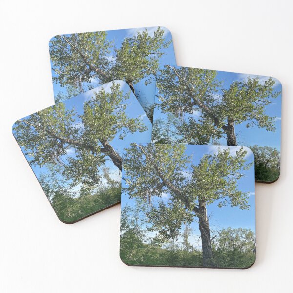 Item preview, Lone Cottonwood Tree designed and sold by Image-Prints.
