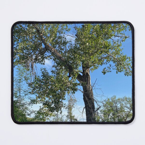 Item preview, Lone Cottonwood Tree designed and sold by Image-Prints.