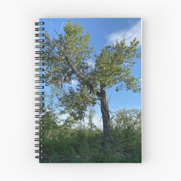 Item preview, Lone Cottonwood Tree designed and sold by Image-Prints.