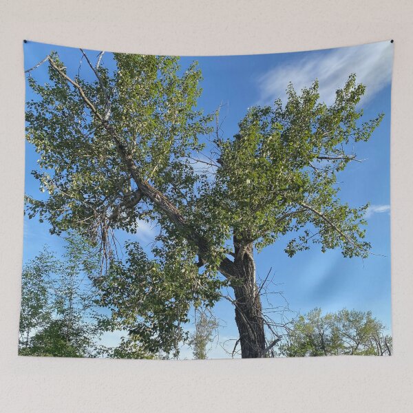 Item preview, Lone Cottonwood Tree designed and sold by Image-Prints.