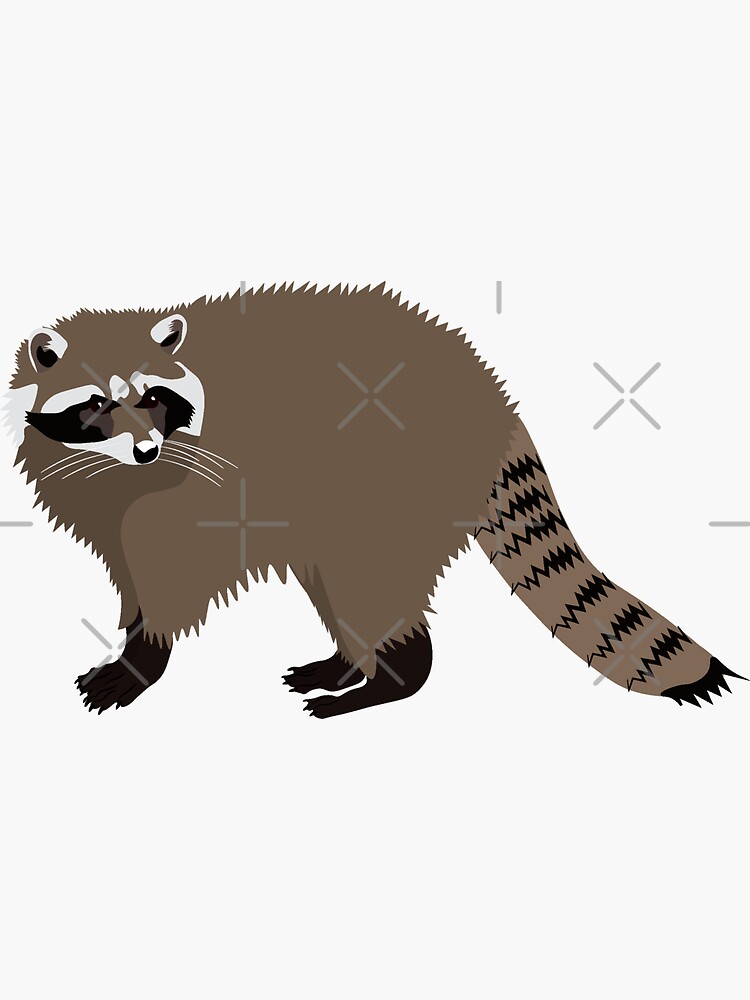 Raccoon Pack Sticker for Sale by lmmanning