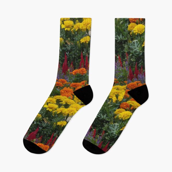 Item preview, Rainbow Flower Field - Original Photography designed and sold by JulienneJc.