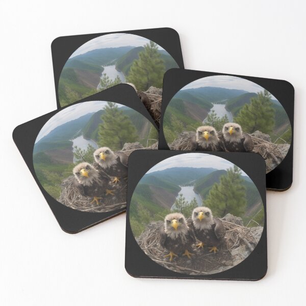 Item preview, Nature's Marvels: Snapshot Aesthetic of Little Bald Eagle Chicks in National Park Splendor designed and sold by luvablelifeform.