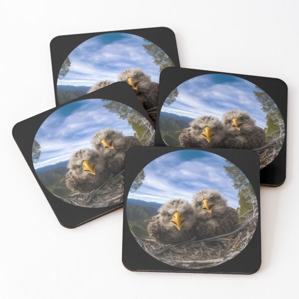 Item preview, Nature's Marvels: Snapshot Aesthetic of Little Bald Eagle Chicks in National Park Splendor designed and sold by luvablelifeform.