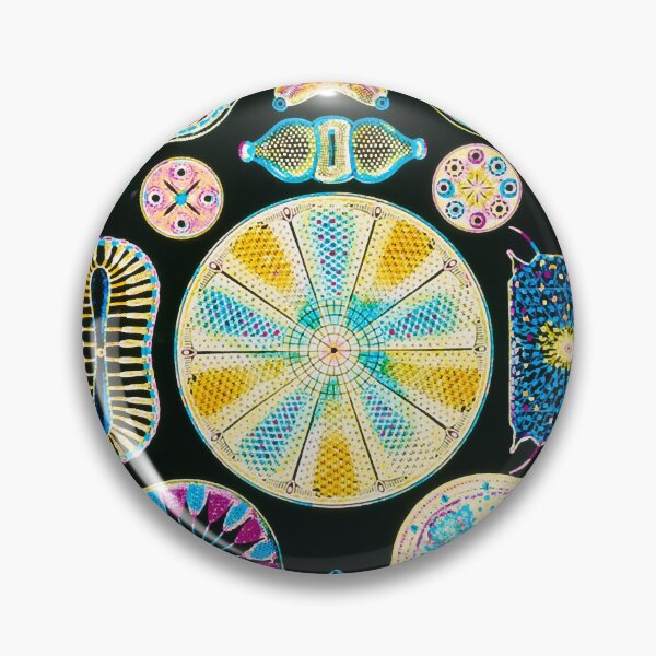 Item preview, Art of Diatom algae (from Ernst Haeckel) (B3050177) designed and sold by braden-galina.
