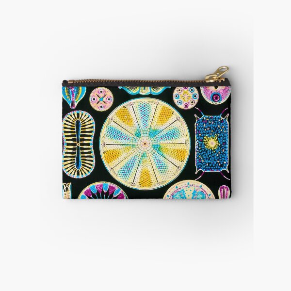 Item preview, Art of Diatom algae (from Ernst Haeckel) (B3050177) designed and sold by braden-galina.
