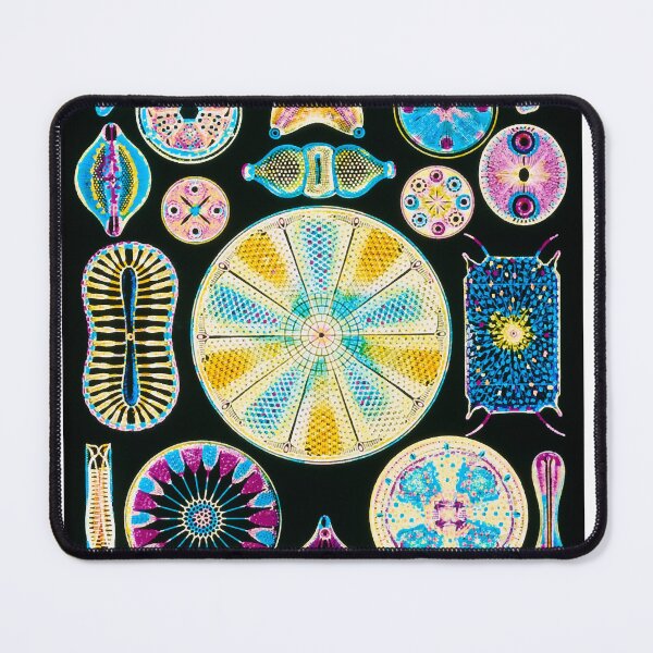Item preview, Art of Diatom algae (from Ernst Haeckel) (B3050177) designed and sold by braden-galina.
