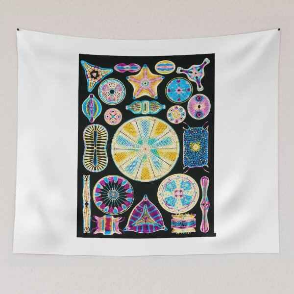 Item preview, Art of Diatom algae (from Ernst Haeckel) (B3050177) designed and sold by braden-galina.