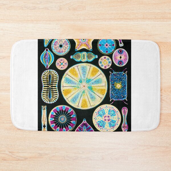 Item preview, Art of Diatom algae (from Ernst Haeckel) (B3050177) designed and sold by braden-galina.