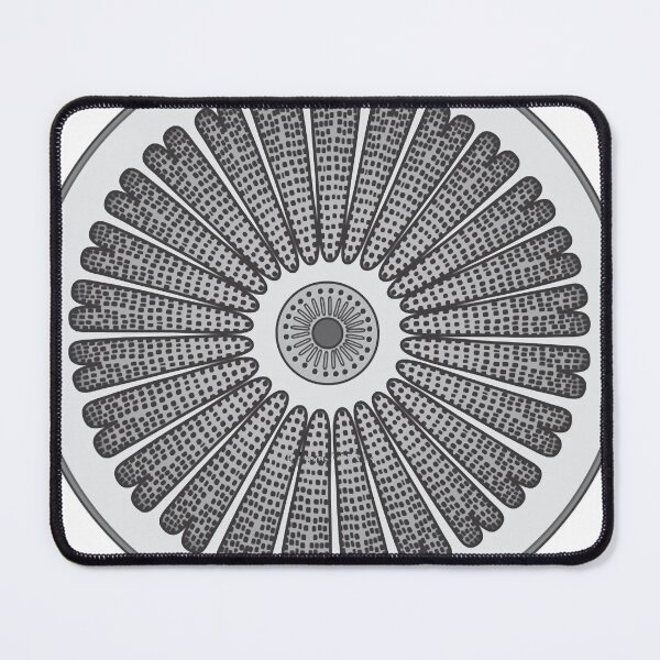 Item preview, Diatom - Arachnodiscus - Artwork designed and sold by braden-galina.