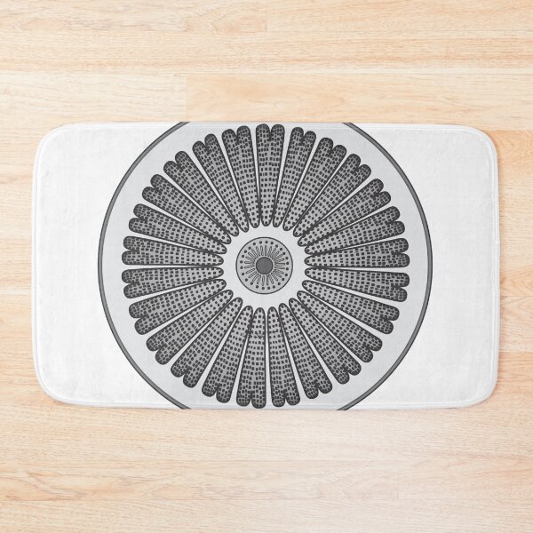 Item preview, Diatom - Arachnodiscus - Artwork designed and sold by braden-galina.