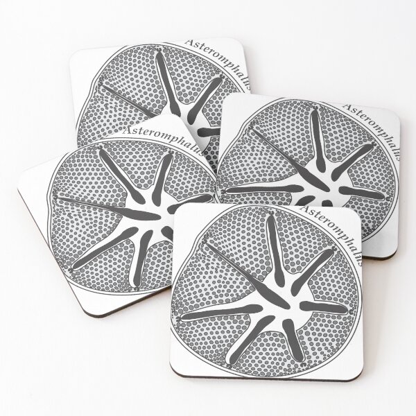 Item preview, Diatom - Asteromphalus (scientific) designed and sold by braden-galina.