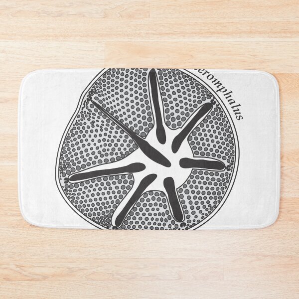 Item preview, Diatom - Asteromphalus (scientific) designed and sold by braden-galina.