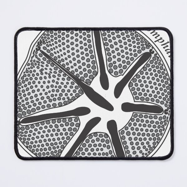 Item preview, Diatom - Asteromphalus (scientific) designed and sold by braden-galina.