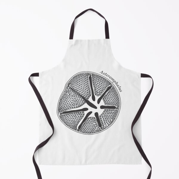 Item preview, Diatom - Asteromphalus (scientific) designed and sold by braden-galina.