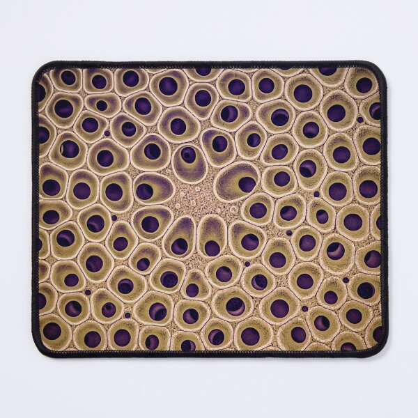 Item preview, Diatom - Coscinodiscus (external, gold) Long designed and sold by braden-galina.
