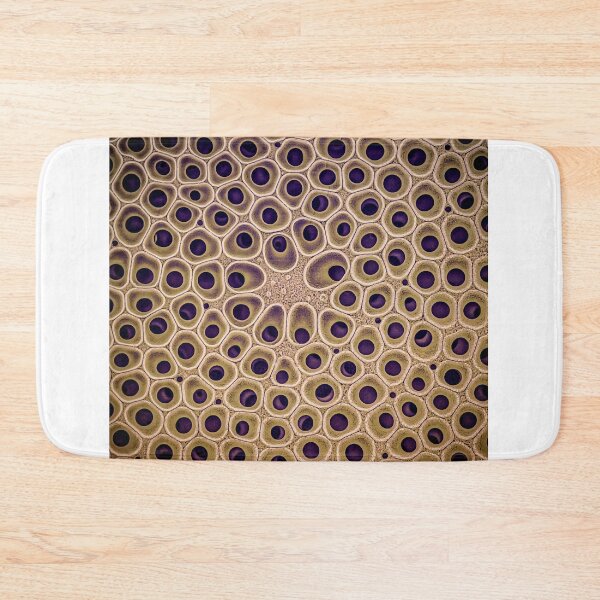 Item preview, Diatom - Coscinodiscus (external, gold) Long designed and sold by braden-galina.